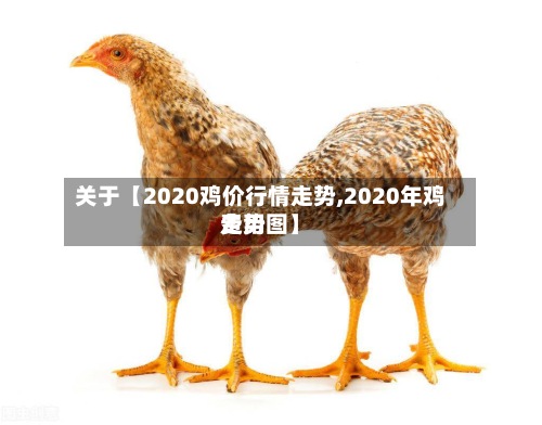 关于【2020鸡价行情走势,2020年鸡费用
走势图】-第2张图片