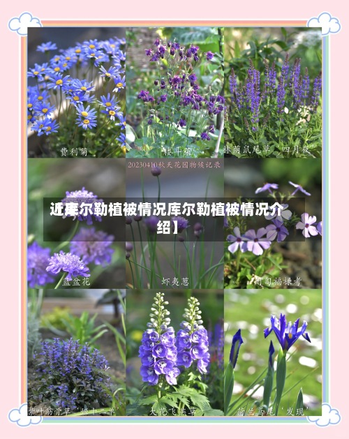 近来
【库尔勒植被情况库尔勒植被情况介绍】