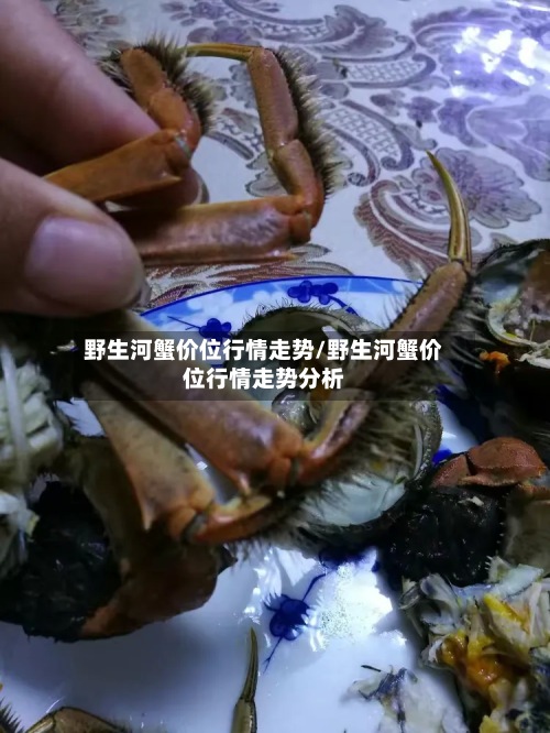 野生河蟹价位行情走势/野生河蟹价位行情走势分析-第2张图片