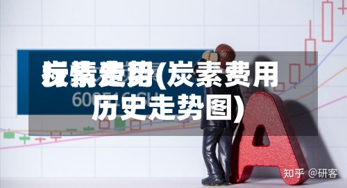 炭素费用行情走势(炭素费用历史走势图)