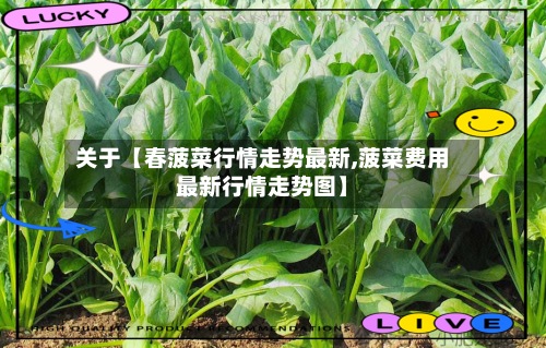 关于【春菠菜行情走势最新,菠菜费用最新行情走势图】