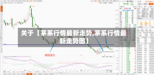 关于【茅系行情最新走势,茅系行情最新走势图】-第2张图片