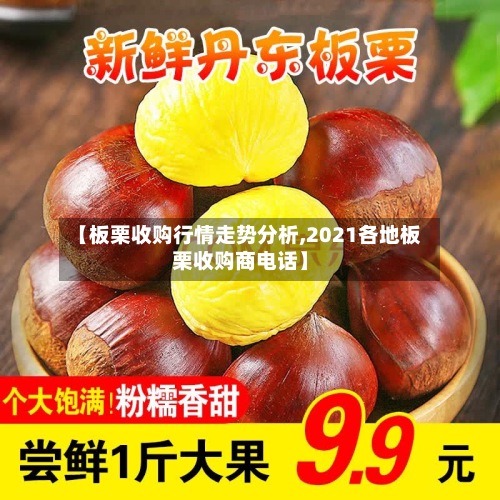 【板栗收购行情走势分析,2021各地板栗收购商电话】-第2张图片