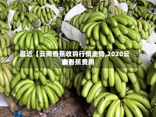 最近【云南香蕉收购行情走势,2020云南香蕉费用
表】-第2张图片
