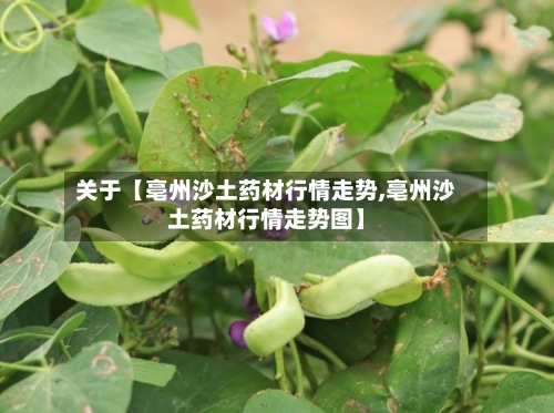 关于【亳州沙土药材行情走势,亳州沙土药材行情走势图】-第2张图片