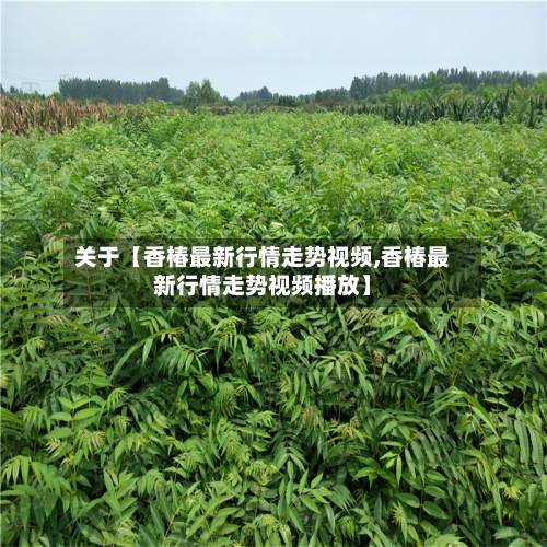 关于【香椿最新行情走势视频,香椿最新行情走势视频播放】