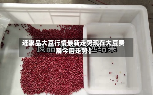 近来【次品大豆行情最新走势现在大豆费用及今后走势】-第3张图片