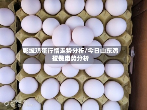 鄄城鸡蛋行情走势分析/今日山东鸡蛋费用
行情走势分析-第2张图片