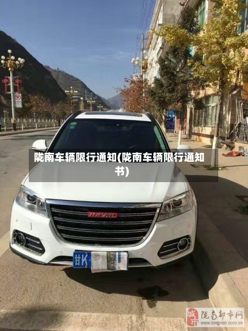 陇南车辆限行通知(陇南车辆限行通知书)-第2张图片