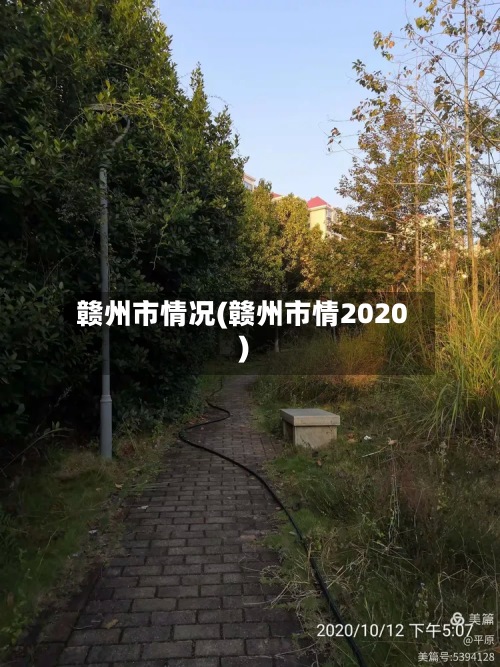 赣州市情况(赣州市情2020)