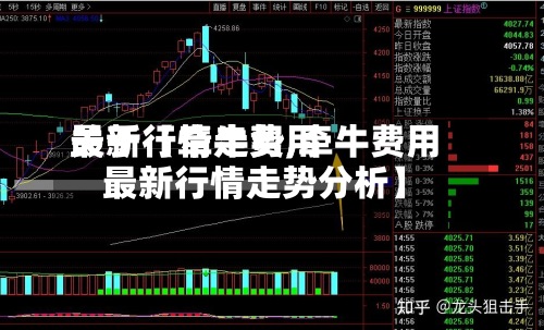关于【牵牛费用最新行情走势,牵牛费用最新行情走势分析】