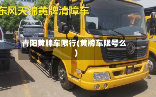 青阳黄牌车限行(黄牌车限号么)