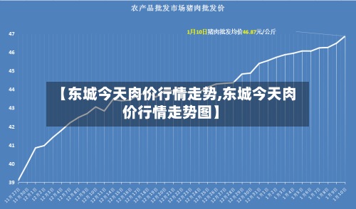【东城今天肉价行情走势,东城今天肉价行情走势图】