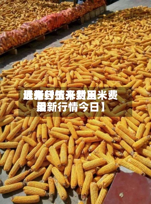 近来
【开封玉米费用
最新行情开封玉米费用
最新行情今日】