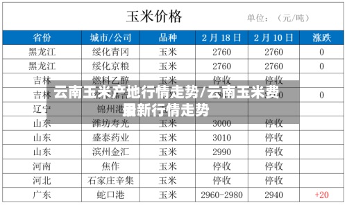 云南玉米产地行情走势/云南玉米费用
最新行情走势