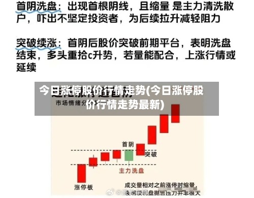 今日涨停股价行情走势(今日涨停股价行情走势最新)-第2张图片