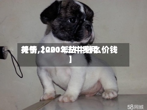 关于【2017法牛费用
行情,2020年法牛什么价钱】