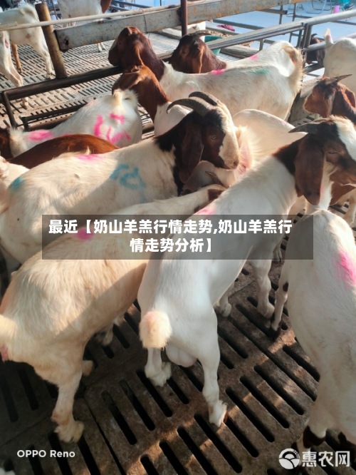 最近【奶山羊羔行情走势,奶山羊羔行情走势分析】