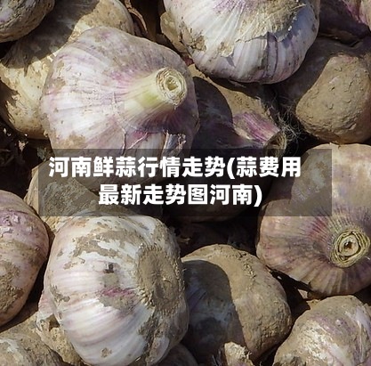 河南鲜蒜行情走势(蒜费用最新走势图河南)