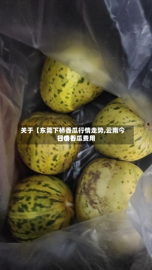 关于【东莞下桥香瓜行情走势,云南今日小香瓜费用
行情】