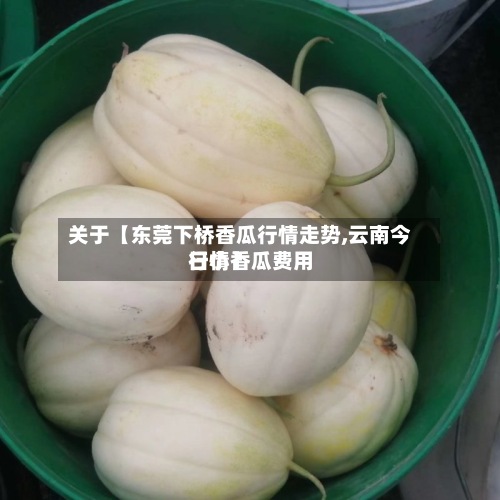 关于【东莞下桥香瓜行情走势,云南今日小香瓜费用
行情】-第2张图片