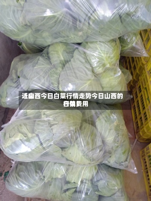 近来
【山西今日白菜行情走势今日山西的白菜费用
行情】-第3张图片