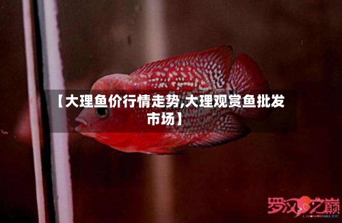 【大理鱼价行情走势,大理观赏鱼批发市场】