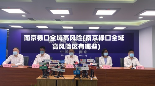 南京禄口全域高风险(南京禄口全域高风险区有哪些)-第2张图片
