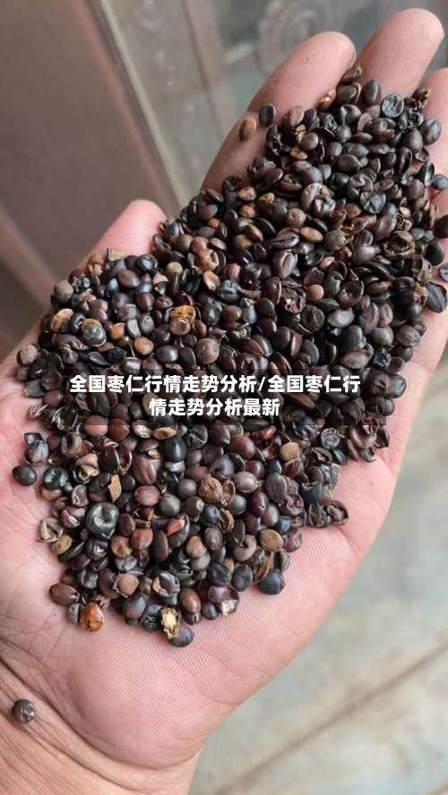 全国枣仁行情走势分析/全国枣仁行情走势分析最新