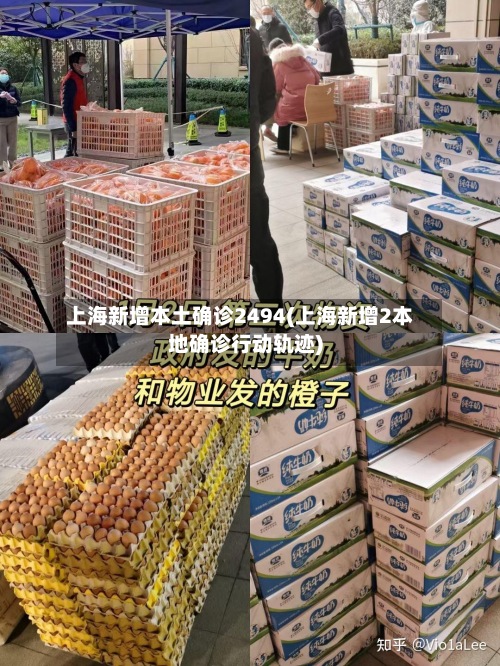 上海新增本土确诊2494(上海新增2本地确诊行动轨迹)-第3张图片