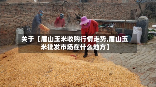 关于【眉山玉米收购行情走势,眉山玉米批发市场在什么地方】