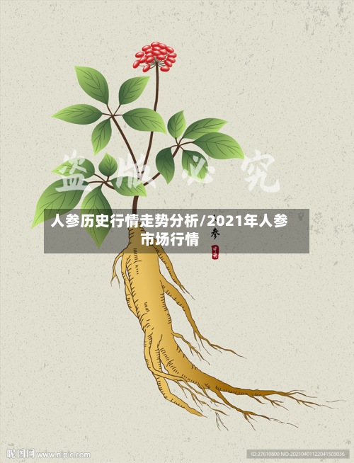 人参历史行情走势分析/2021年人参市场行情-第2张图片