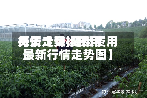 关于【辣椒费用
每天
行情走势,辣椒费用
最新行情走势图】