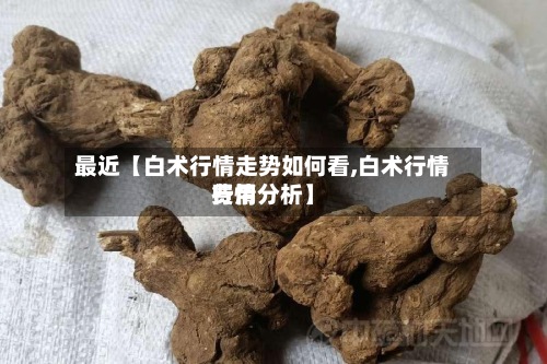 最近【白术行情走势如何看,白术行情费用
行情分析】-第2张图片