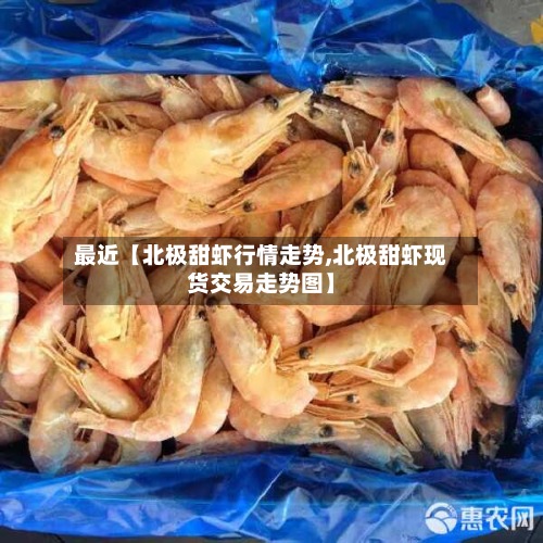 最近【北极甜虾行情走势,北极甜虾现货交易走势图】-第3张图片