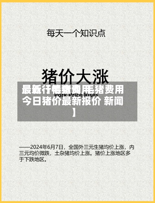 最近【毛猪费用
最新行情查询,毛猪费用
今日猪价最新报价 新闻】
