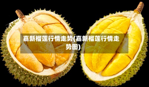 嘉新榴莲行情走势(嘉新榴莲行情走势图)-第2张图片