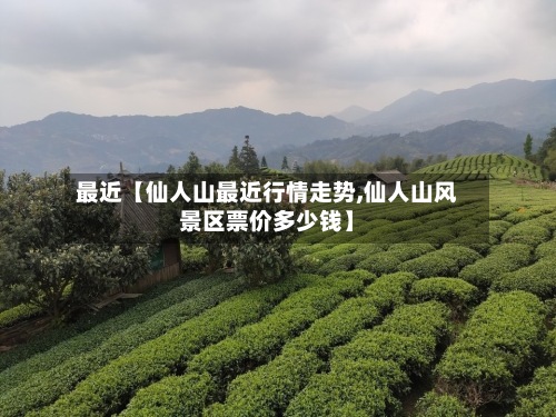最近【仙人山最近行情走势,仙人山风景区票价多少钱】-第2张图片