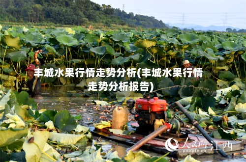 丰城水果行情走势分析(丰城水果行情走势分析报告)