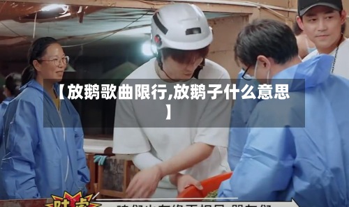 【放鹅歌曲限行,放鹅子什么意思】