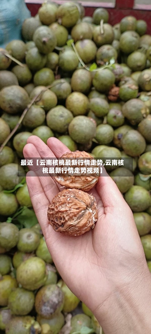 最近【云南核桃最新行情走势,云南核桃最新行情走势视频】-第3张图片