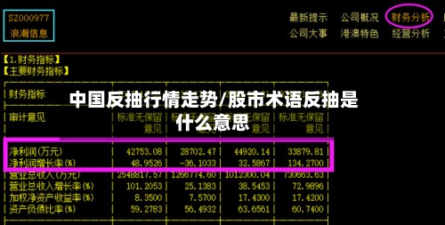 中国反抽行情走势/股市术语反抽是什么意思-第2张图片
