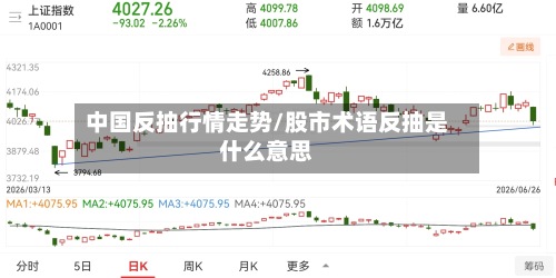 中国反抽行情走势/股市术语反抽是什么意思