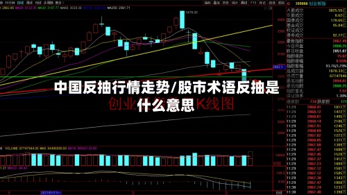 中国反抽行情走势/股市术语反抽是什么意思-第3张图片
