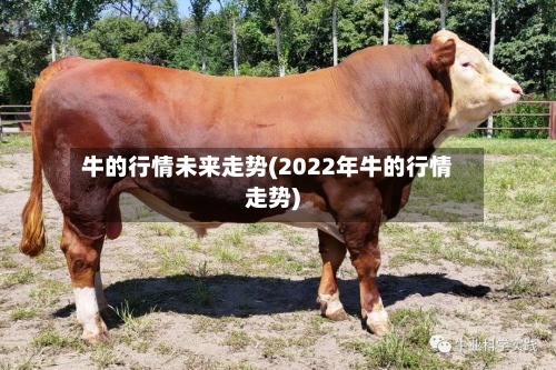 牛的行情未来走势(2022年牛的行情走势)-第3张图片