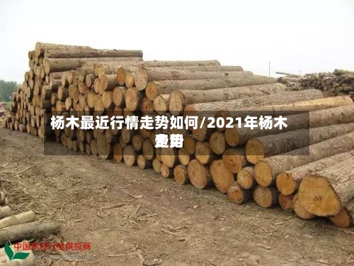 杨木最近行情走势如何/2021年杨木费用走势-第3张图片