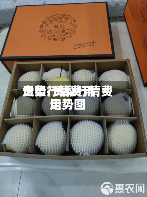 贡梨行情费用走势/贡梨行情费用走势图