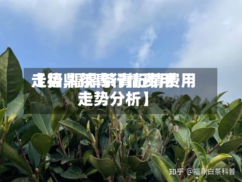 【福鼎茶青行情费用走势,福鼎茶青行情费用走势分析】-第2张图片
