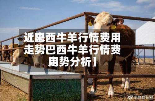 近来
【巴西牛羊行情费用
走势巴西牛羊行情费用
走势分析】