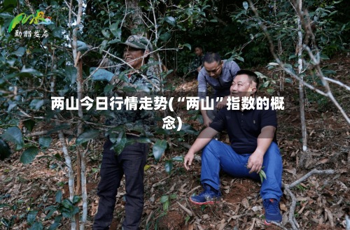 两山今日行情走势(“两山	”指数的概念)-第2张图片